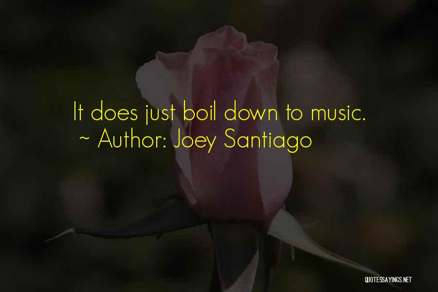Joey Santiago Quotes: It Does Just Boil Down To Music.