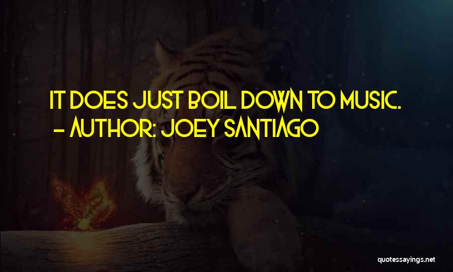 Joey Santiago Quotes: It Does Just Boil Down To Music.