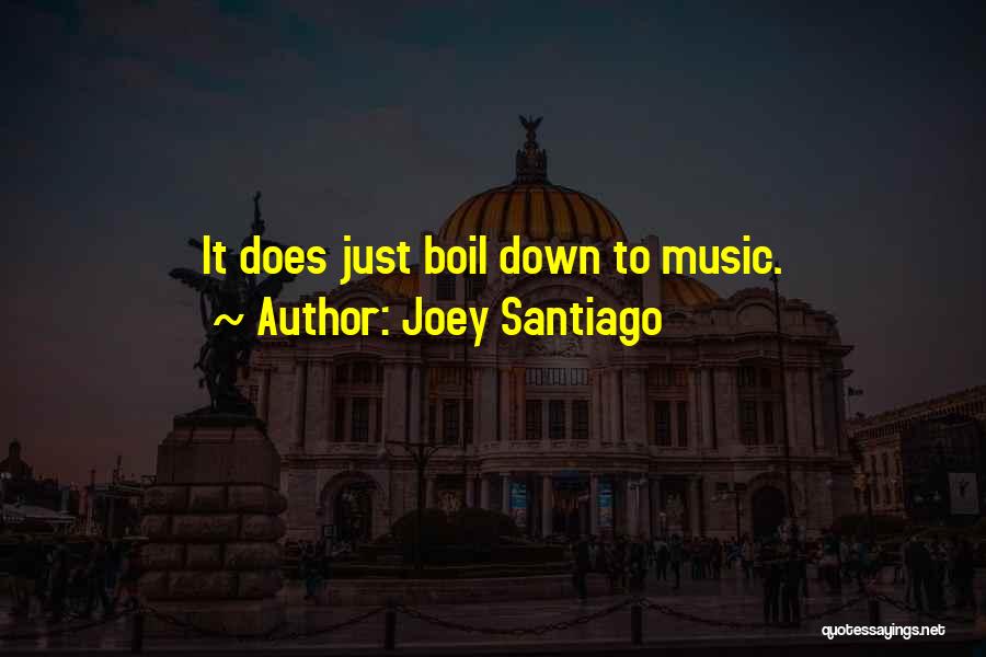 Joey Santiago Quotes: It Does Just Boil Down To Music.