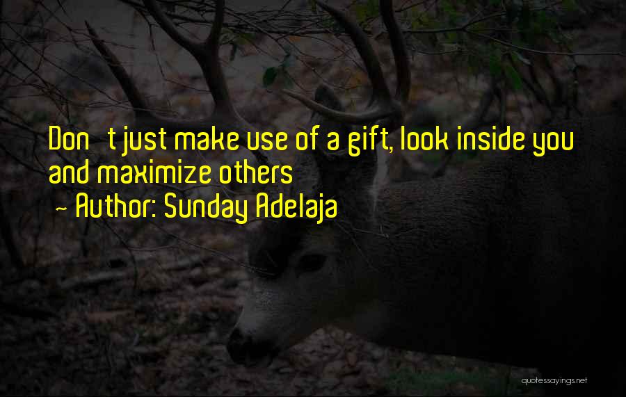 Sunday Adelaja Quotes: Don't Just Make Use Of A Gift, Look Inside You And Maximize Others