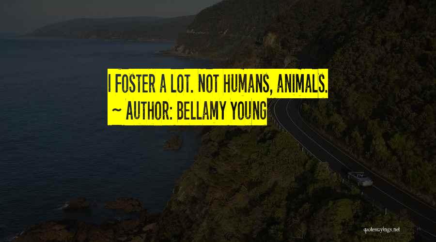 Bellamy Young Quotes: I Foster A Lot. Not Humans, Animals.