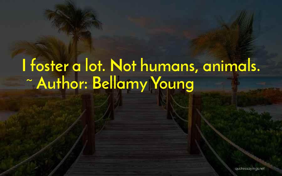 Bellamy Young Quotes: I Foster A Lot. Not Humans, Animals.