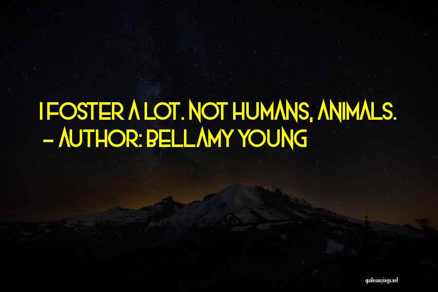 Bellamy Young Quotes: I Foster A Lot. Not Humans, Animals.