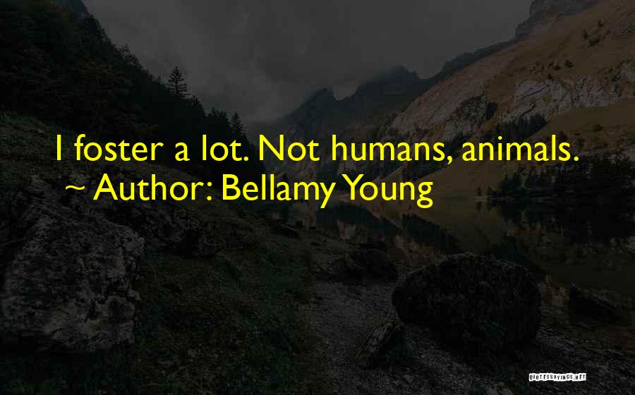 Bellamy Young Quotes: I Foster A Lot. Not Humans, Animals.