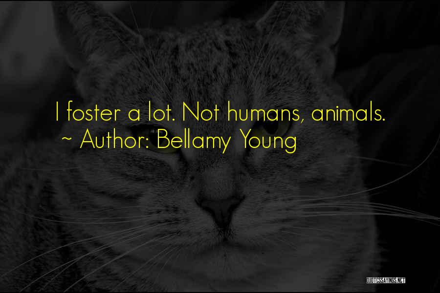 Bellamy Young Quotes: I Foster A Lot. Not Humans, Animals.