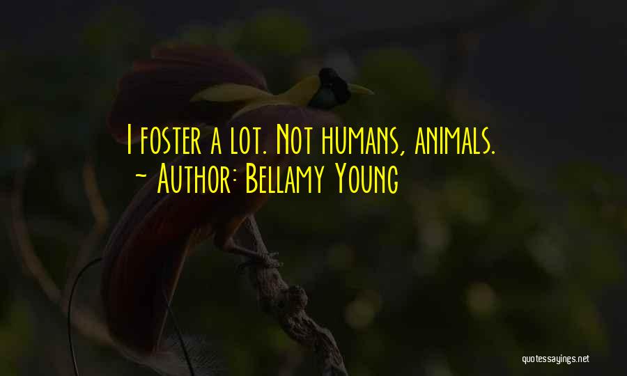 Bellamy Young Quotes: I Foster A Lot. Not Humans, Animals.