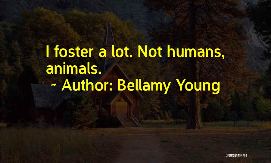 Bellamy Young Quotes: I Foster A Lot. Not Humans, Animals.