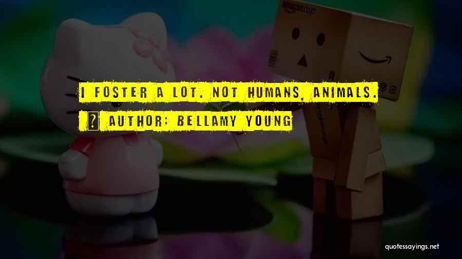 Bellamy Young Quotes: I Foster A Lot. Not Humans, Animals.