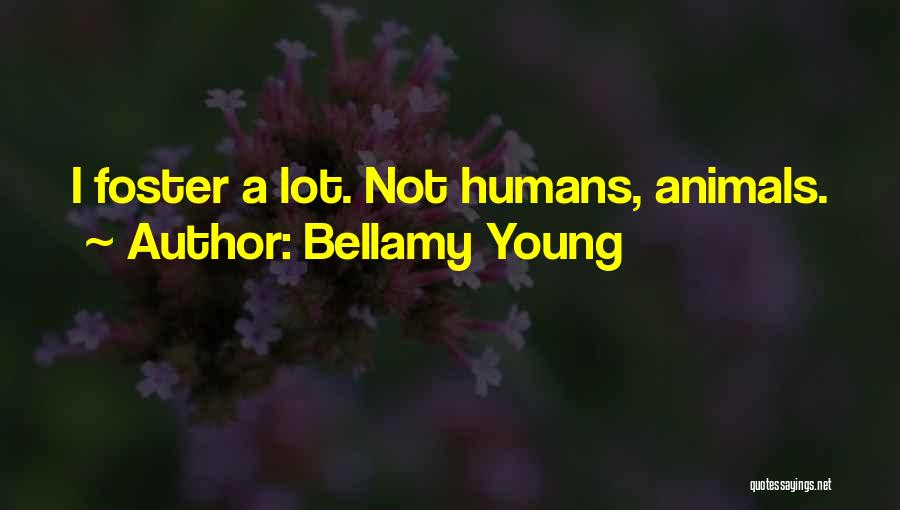 Bellamy Young Quotes: I Foster A Lot. Not Humans, Animals.