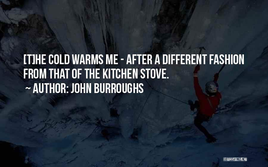 John Burroughs Quotes: [t]he Cold Warms Me - After A Different Fashion From That Of The Kitchen Stove.