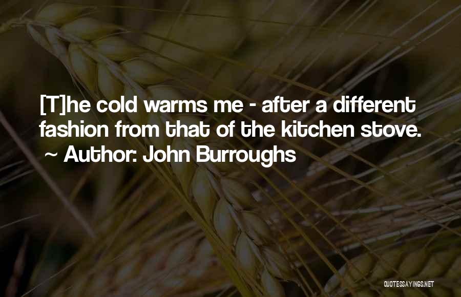 John Burroughs Quotes: [t]he Cold Warms Me - After A Different Fashion From That Of The Kitchen Stove.