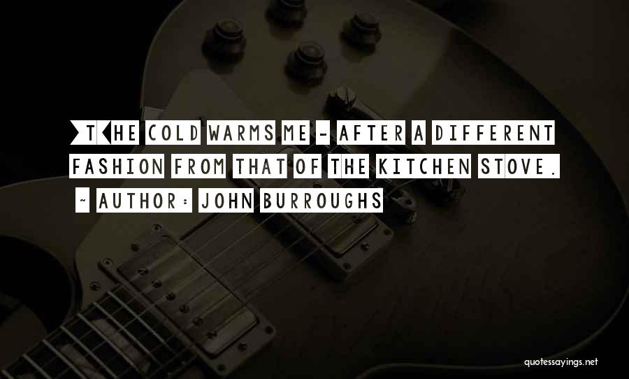 John Burroughs Quotes: [t]he Cold Warms Me - After A Different Fashion From That Of The Kitchen Stove.