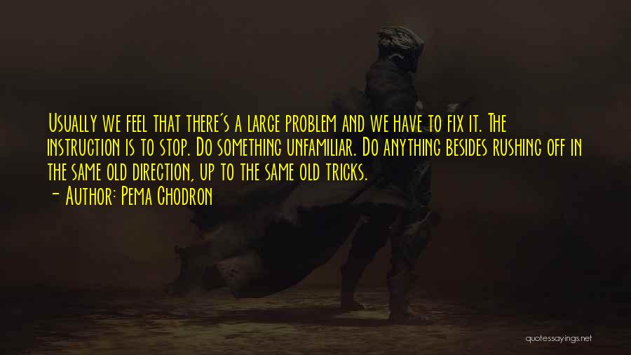 Pema Chodron Quotes: Usually We Feel That There's A Large Problem And We Have To Fix It. The Instruction Is To Stop. Do