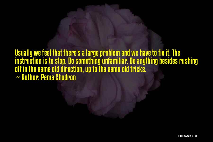 Pema Chodron Quotes: Usually We Feel That There's A Large Problem And We Have To Fix It. The Instruction Is To Stop. Do