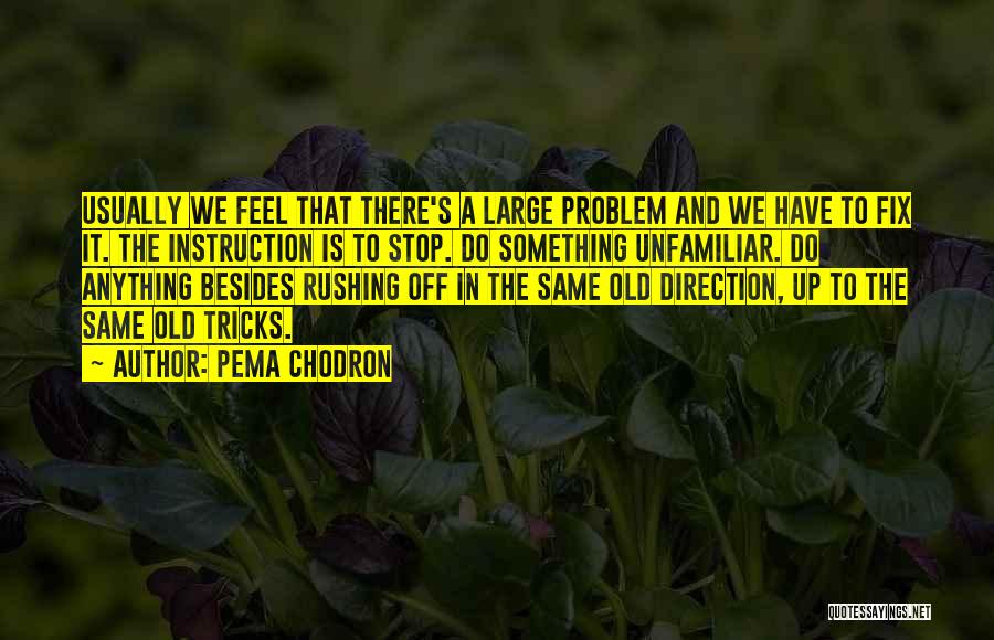 Pema Chodron Quotes: Usually We Feel That There's A Large Problem And We Have To Fix It. The Instruction Is To Stop. Do