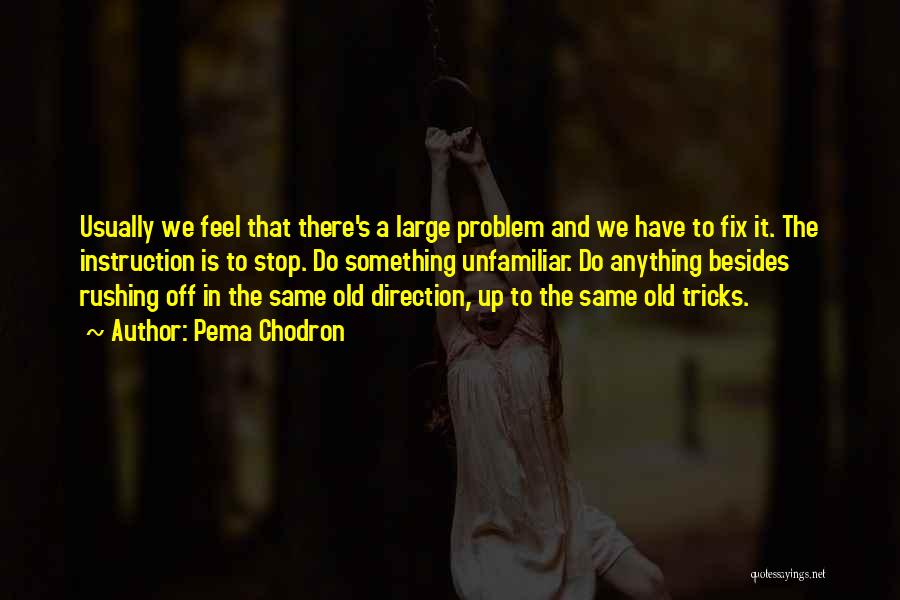 Pema Chodron Quotes: Usually We Feel That There's A Large Problem And We Have To Fix It. The Instruction Is To Stop. Do
