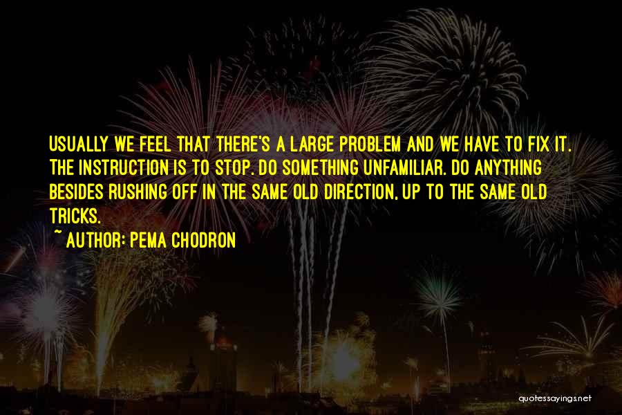 Pema Chodron Quotes: Usually We Feel That There's A Large Problem And We Have To Fix It. The Instruction Is To Stop. Do
