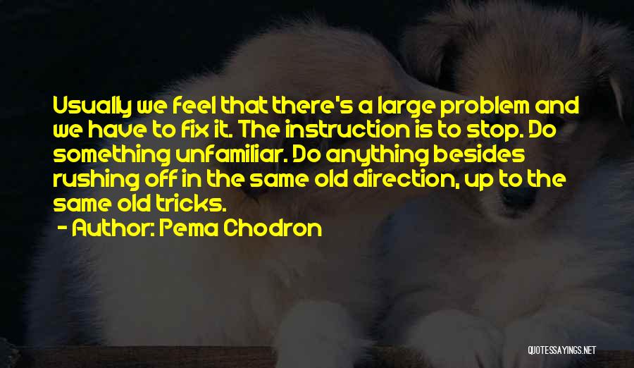 Pema Chodron Quotes: Usually We Feel That There's A Large Problem And We Have To Fix It. The Instruction Is To Stop. Do