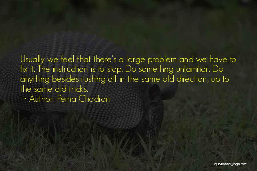 Pema Chodron Quotes: Usually We Feel That There's A Large Problem And We Have To Fix It. The Instruction Is To Stop. Do
