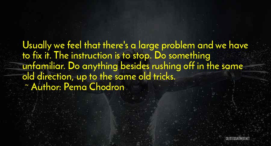 Pema Chodron Quotes: Usually We Feel That There's A Large Problem And We Have To Fix It. The Instruction Is To Stop. Do