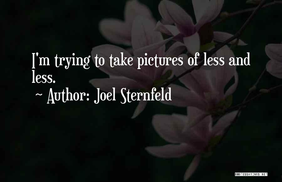 Joel Sternfeld Quotes: I'm Trying To Take Pictures Of Less And Less.