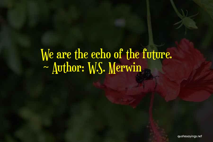 W.S. Merwin Quotes: We Are The Echo Of The Future.
