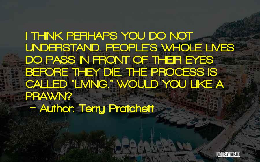 Terry Pratchett Quotes: I Think Perhaps You Do Not Understand. People's Whole Lives Do Pass In Front Of Their Eyes Before They Die.