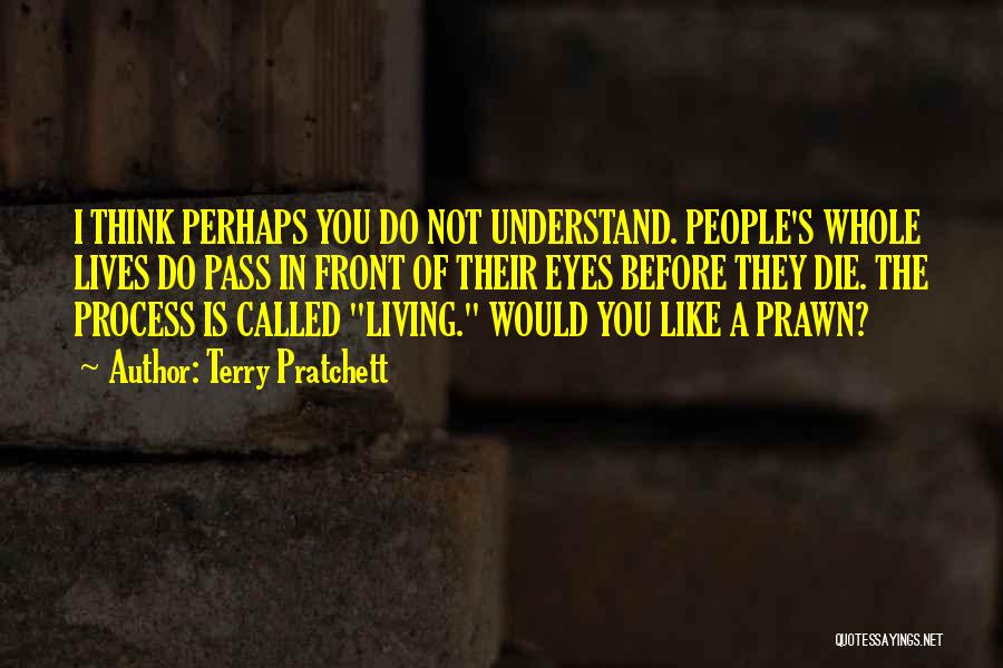Terry Pratchett Quotes: I Think Perhaps You Do Not Understand. People's Whole Lives Do Pass In Front Of Their Eyes Before They Die.