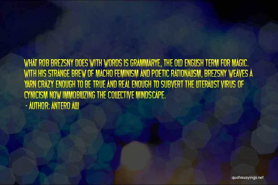 Antero Alli Quotes: What Rob Brezsny Does With Words Is Grammarye, The Old English Term For Magic. With His Strange Brew Of Macho