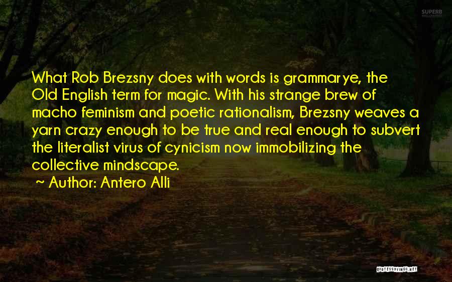 Antero Alli Quotes: What Rob Brezsny Does With Words Is Grammarye, The Old English Term For Magic. With His Strange Brew Of Macho