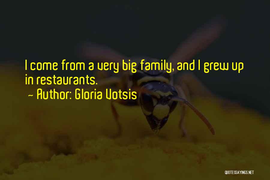 Gloria Votsis Quotes: I Come From A Very Big Family, And I Grew Up In Restaurants.