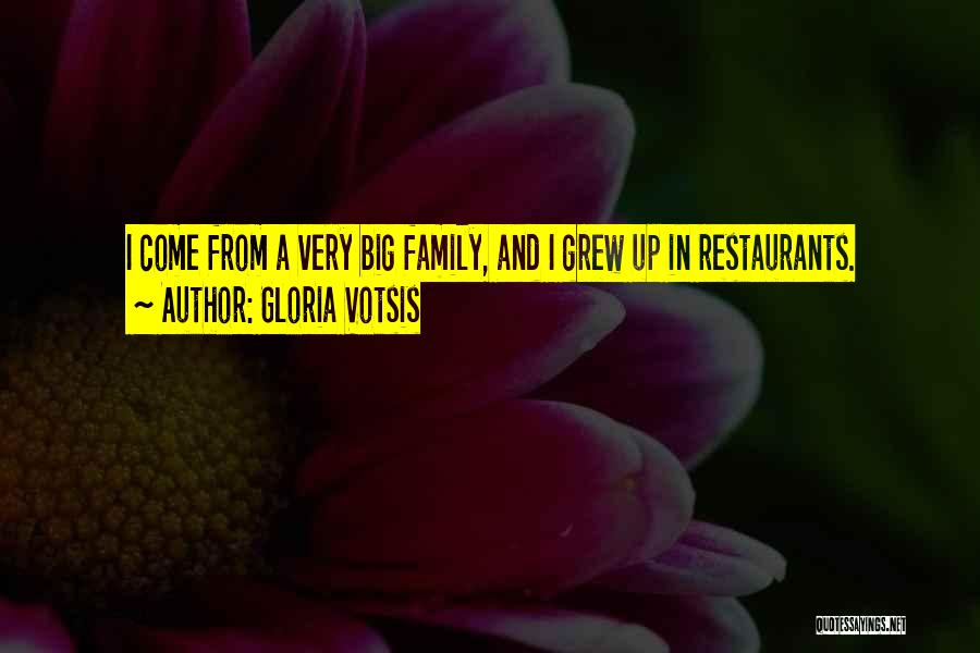 Gloria Votsis Quotes: I Come From A Very Big Family, And I Grew Up In Restaurants.