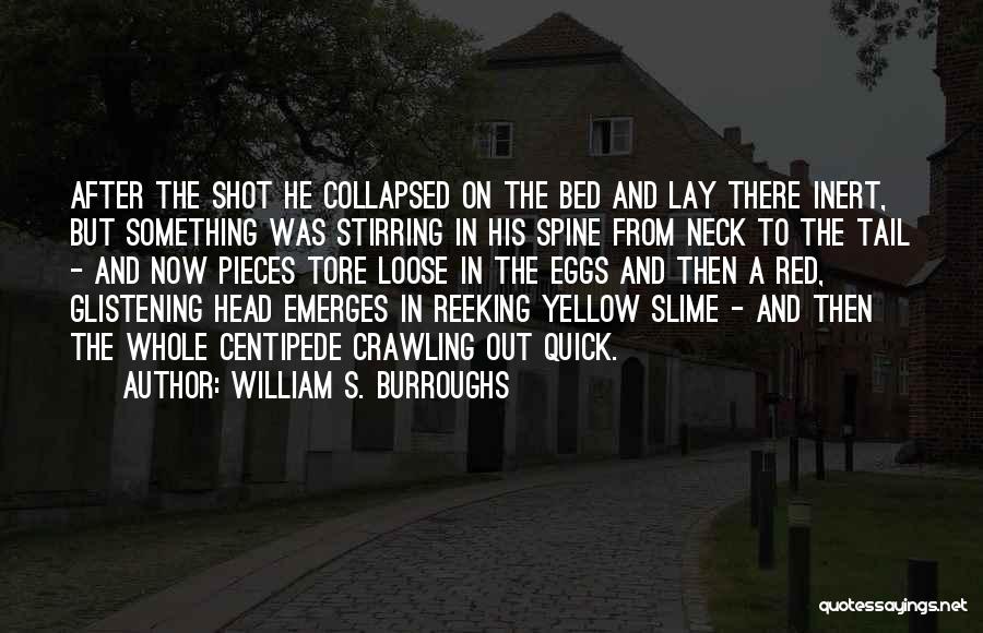 William S. Burroughs Quotes: After The Shot He Collapsed On The Bed And Lay There Inert, But Something Was Stirring In His Spine From