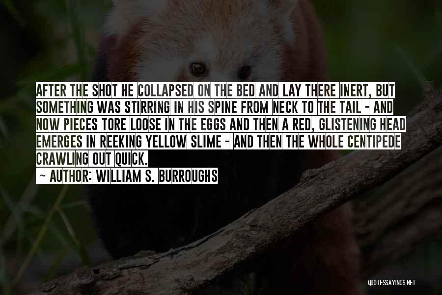 William S. Burroughs Quotes: After The Shot He Collapsed On The Bed And Lay There Inert, But Something Was Stirring In His Spine From