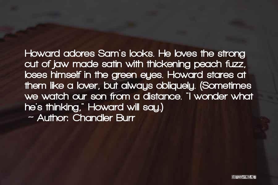 Chandler Burr Quotes: Howard Adores Sam's Looks. He Loves The Strong Cut Of Jaw Made Satin With Thickening Peach Fuzz, Loses Himself In