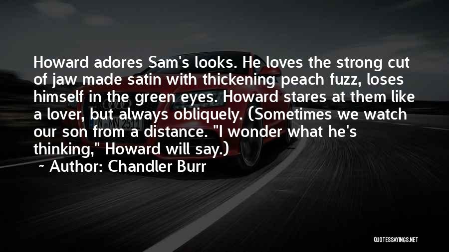 Chandler Burr Quotes: Howard Adores Sam's Looks. He Loves The Strong Cut Of Jaw Made Satin With Thickening Peach Fuzz, Loses Himself In