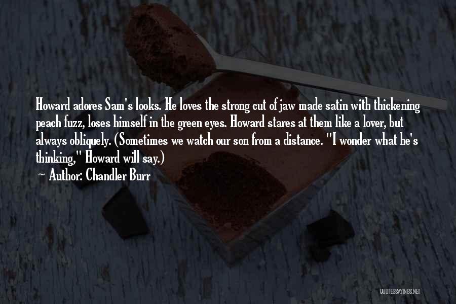 Chandler Burr Quotes: Howard Adores Sam's Looks. He Loves The Strong Cut Of Jaw Made Satin With Thickening Peach Fuzz, Loses Himself In