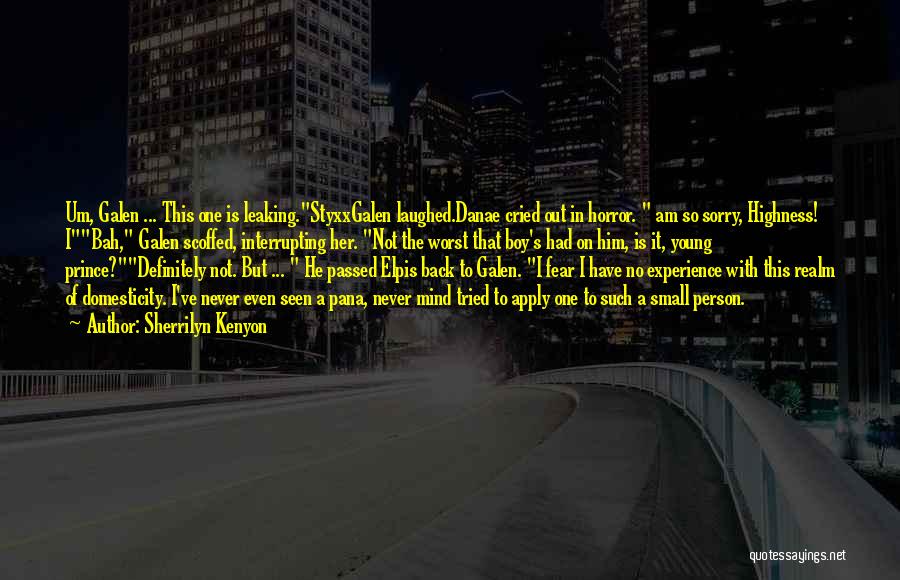 Sherrilyn Kenyon Quotes: Um, Galen ... This One Is Leaking.styxxgalen Laughed.danae Cried Out In Horror. Am So Sorry, Highness! Ibah, Galen Scoffed, Interrupting