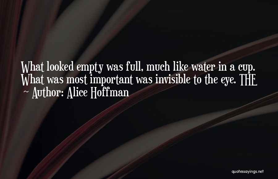 Alice Hoffman Quotes: What Looked Empty Was Full, Much Like Water In A Cup. What Was Most Important Was Invisible To The Eye.