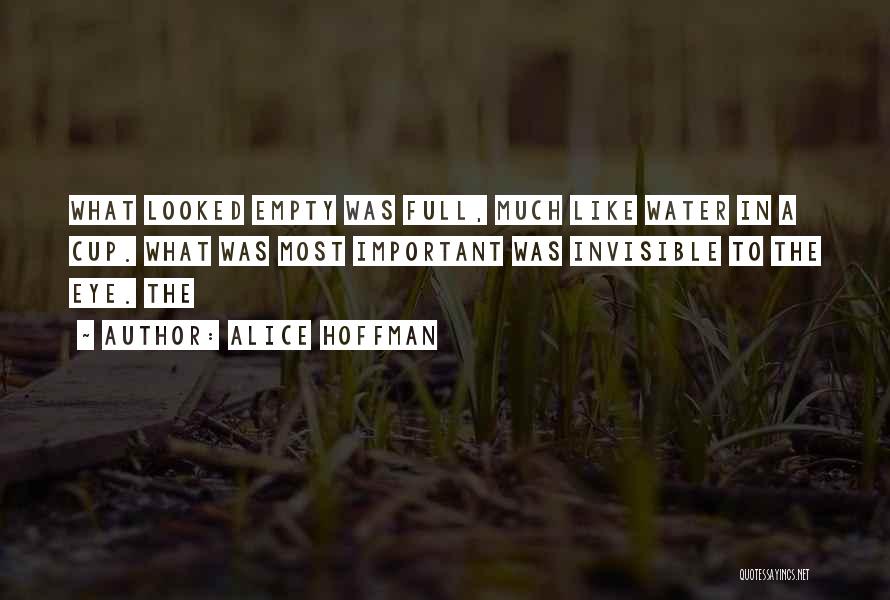 Alice Hoffman Quotes: What Looked Empty Was Full, Much Like Water In A Cup. What Was Most Important Was Invisible To The Eye.