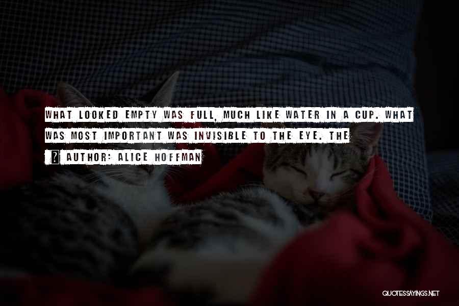 Alice Hoffman Quotes: What Looked Empty Was Full, Much Like Water In A Cup. What Was Most Important Was Invisible To The Eye.