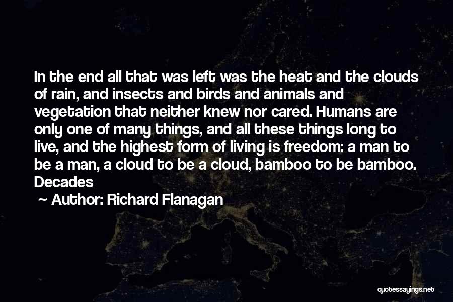 Richard Flanagan Quotes: In The End All That Was Left Was The Heat And The Clouds Of Rain, And Insects And Birds And