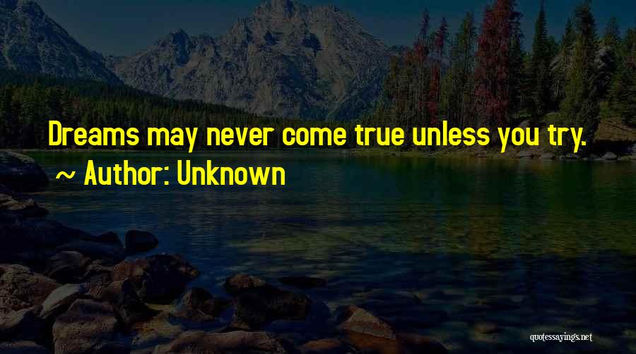 Unknown Quotes: Dreams May Never Come True Unless You Try.
