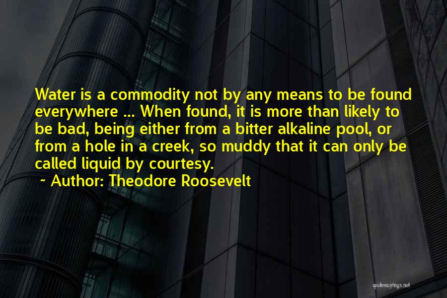 Theodore Roosevelt Quotes: Water Is A Commodity Not By Any Means To Be Found Everywhere ... When Found, It Is More Than Likely