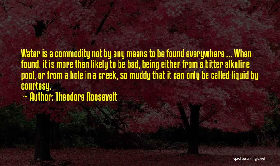 Theodore Roosevelt Quotes: Water Is A Commodity Not By Any Means To Be Found Everywhere ... When Found, It Is More Than Likely