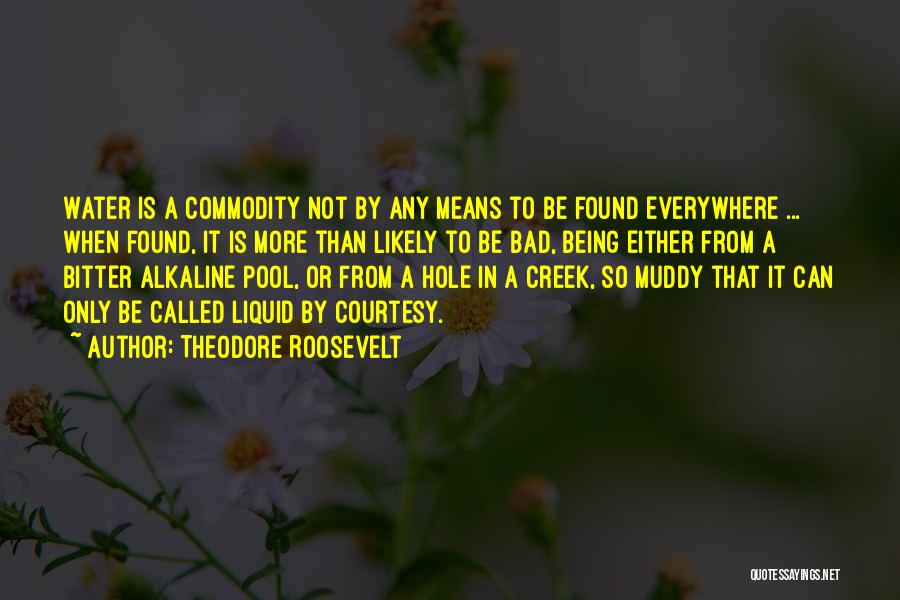 Theodore Roosevelt Quotes: Water Is A Commodity Not By Any Means To Be Found Everywhere ... When Found, It Is More Than Likely