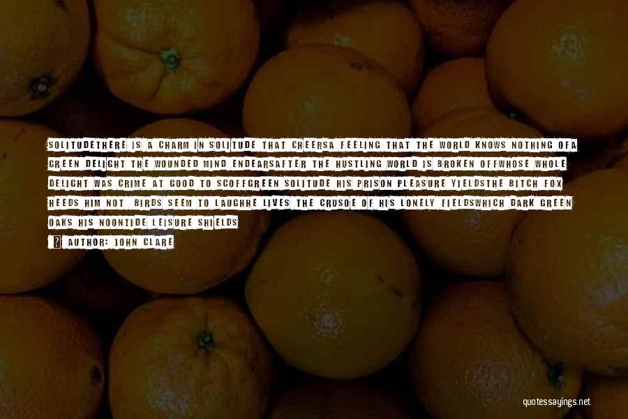 John Clare Quotes: Solitudethere Is A Charm In Solitude That Cheersa Feeling That The World Knows Nothing Ofa Green Delight The Wounded Mind