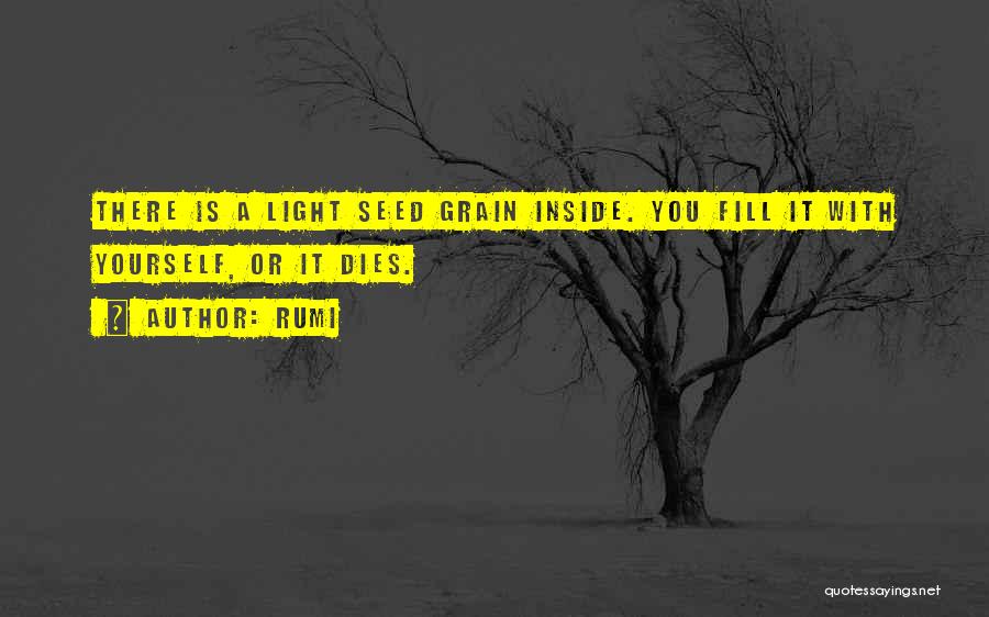 Rumi Quotes: There Is A Light Seed Grain Inside. You Fill It With Yourself, Or It Dies.