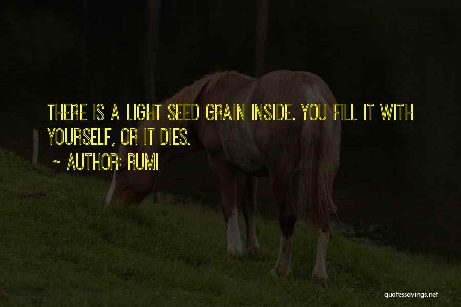 Rumi Quotes: There Is A Light Seed Grain Inside. You Fill It With Yourself, Or It Dies.