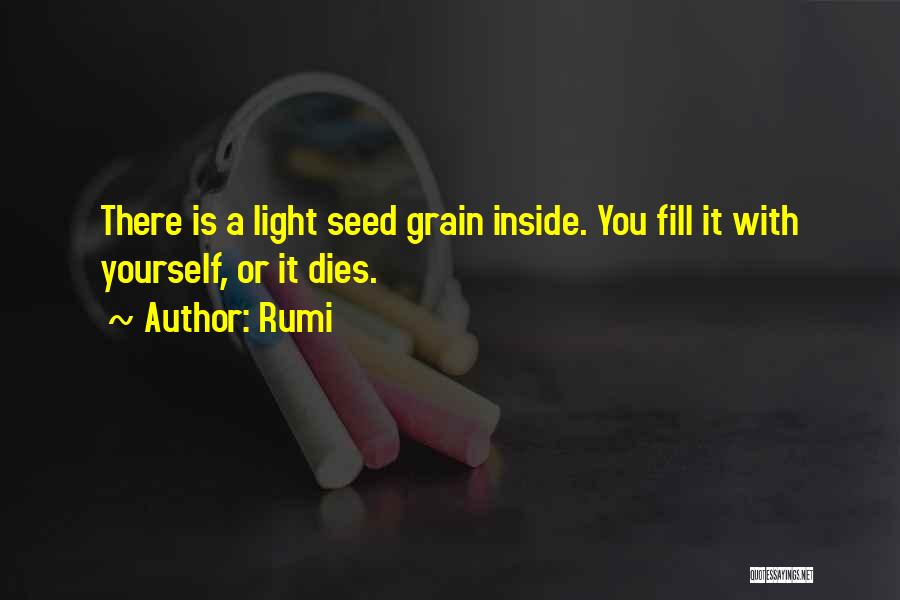 Rumi Quotes: There Is A Light Seed Grain Inside. You Fill It With Yourself, Or It Dies.